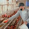 Peternak Ayam Mengadu ke DPR, Keluhkan Harga Telur Jatuh tetapi Pakan Mahal