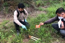 Tulang Manusia Ditemukan Berserakan di Kebun Sawit, di Dekatnya Ada KTP Rifin Sitorus Warga Sumut