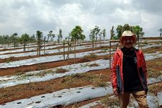 Tak Lagi Menjabat, Eks Wakil Bupati Bandung Barat Pilih Terjun Bisnis Pertanian