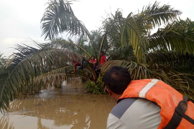 Banjir yang terjadi di Dharmasraya, Sumatera Barat menyebabkan 327 rumah warga tergenang air dan 300 hektare lahan pertanian rusak