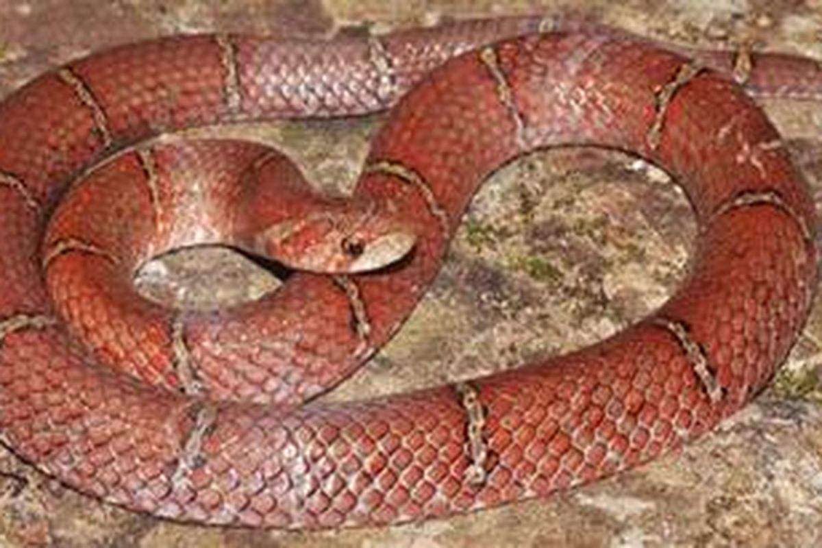 Xotin bilan jinsiy aloqa porno video HD