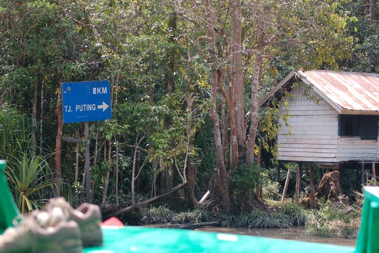 Lokasi Camp Leakey di Taman Nasional Tanjung Puting, Kalimantan Tengah