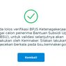 Muncul Notifikasi Lolos Verifikasi BSU 2025, Apakah Dana Rp 600.000 Langsung Cair?