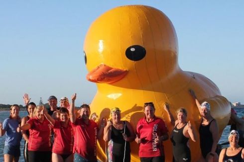 Hilang Tertiup Angin, Balon Bebek Raksasa Curi Atensi Warga Australia