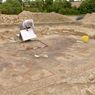 Mosaik Romawi Langka Ditemukan Terkubur di Bawah Ladang Petani