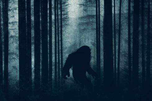 Apakah Bigfoot Benar-benar Ada? Ini Penjelasan Ilmuwan