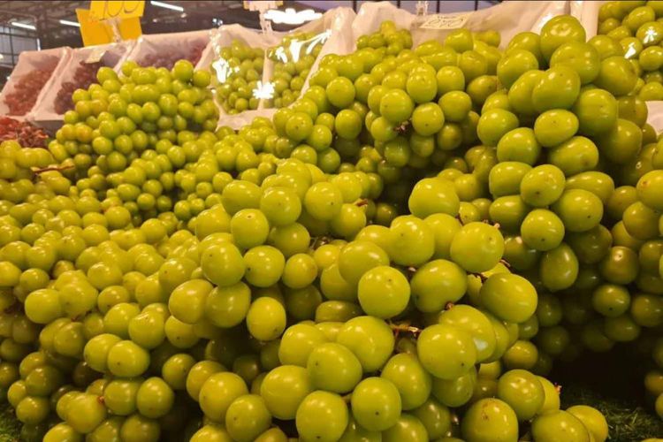 Shine Muscat grapes are still unsold at the Therdthai market in Muang district, Nakhon Ratchasima, Thailand, on Tuesday (29/10/2024).