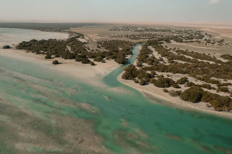 Pantai Al Thakhira yang terletak di Al Thakhira, Al Khor, Qatar