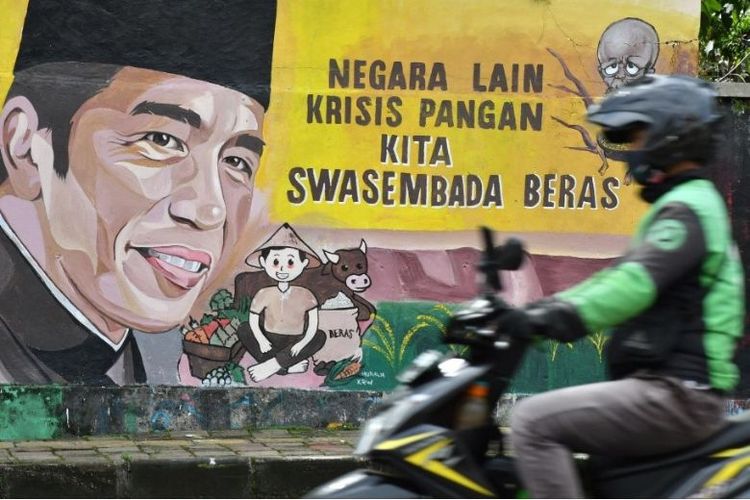 Pengemudi ojek daring melintas di depan mural bergambar Presiden Joko Widodo di Kota Bogor, Jawa Barat, Selasa (25/10/2022). Mural bergambar presiden tersebut sebagai bentuk apresiasi dan dukungan atas program pemerintah tentang swasembada beras di Indonesia. 
