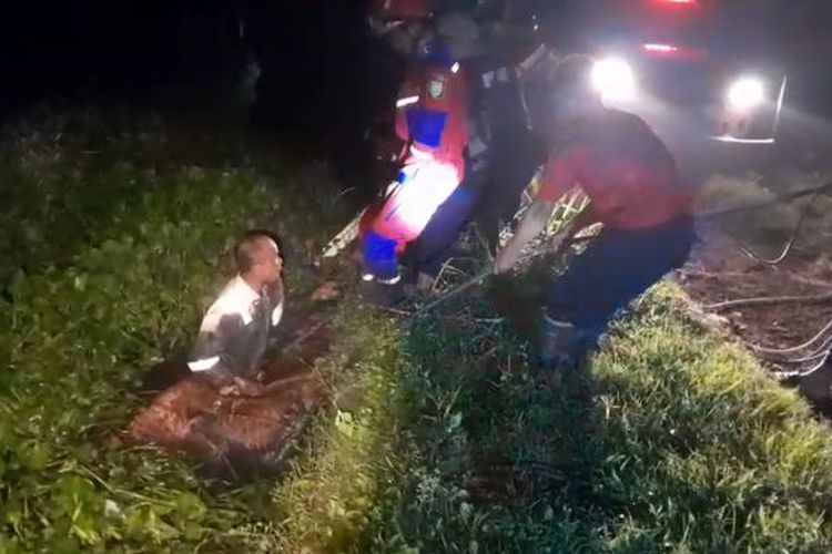 Dari Mobil Damkar ke Tarik Manual, Begini Evakuasi Sapi Tercebur di Indramayu