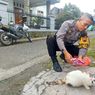 Aiptu Sunardi, Bapak Asuh Kucing Liar di Salatiga, Setiap Hari Keliling Beri Pakan