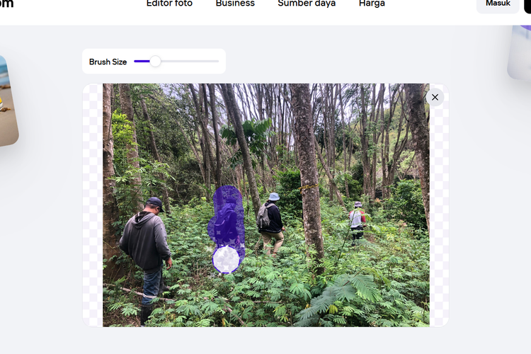 Ilustrasi cara menghapus orang di foto.