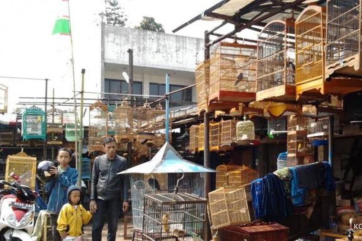 Suasa Pasar Burung Sukajaji Bandung. Pasar burung legend ini menjadi surga bagi kicaumania. 