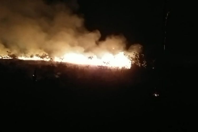 Bidik layar video kebakaran hutan di Taman Nasional Way Kambas (TNWK) yang terjadi sejak Rabu (23/11/2022) sore.