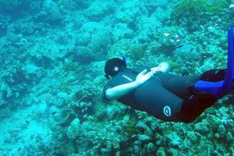 Menyelam dan snorkeling di Bunaken, Sulawesi Utara, menjadi kegiatan wisata yang menyenangkan. Terumbu karang dan aneka jenis ikan menjadi daya tarik kawasan ini.
