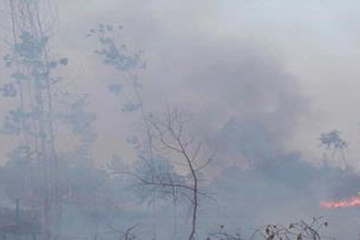 Ilustrasi: Kebakaran lahan.