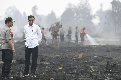 Ketika Jokowi Pakai Mobil Rental Kunjungi Lokasi Kebakaran di Riau...