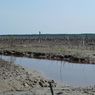 4,29 Juta Batang Mangrove Ditanam di Kuala Selat