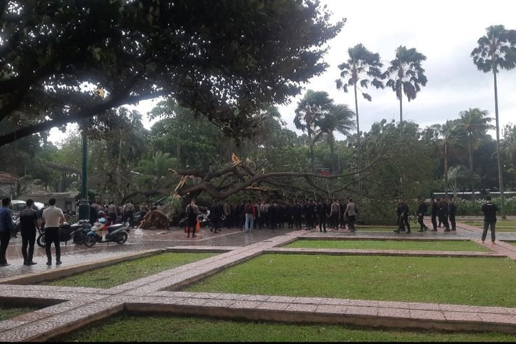 Sebuah pohon besar di Balai Kota DKI Jakarta, Gambir, Jakarta Pusat, tumbang pada Kamis (10/11/2022) sore. Pantauan di lokasi, dua korban yang diduga anggota kepolisian dibopong rekan-rekannya. Sejumlah motor juga tertimpa pohon tersebut.
