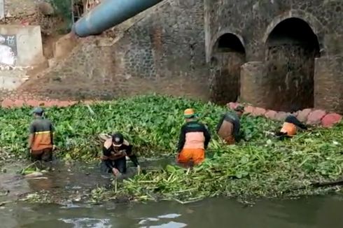 Sampah Eceng Gondok Sumbat Kali Sunter di Makasar