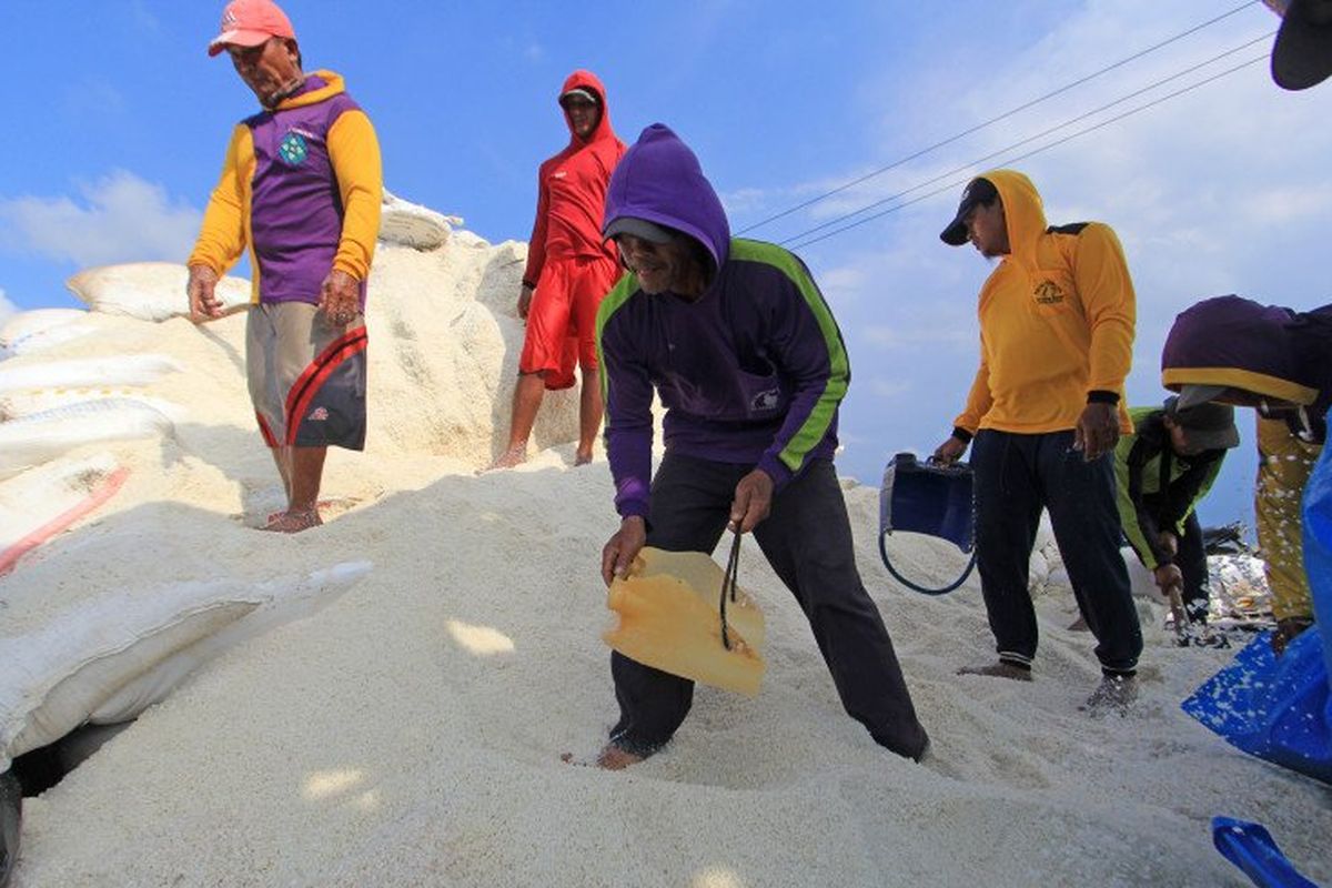 Sejumlah pekerja mengumpulkan garam ke dalam karung di Desa Luwunggeusik, Krangkeng, Indramayu, Jawa Barat, Senin (22/3/2021). Pemerintah akan membuka kembali keran impor garam sebanyak tiga juta ton pada tahun ini karena kuantitas dan kualitas garam lokal yang dinilai masih di bawah standar kebutuhan industri.