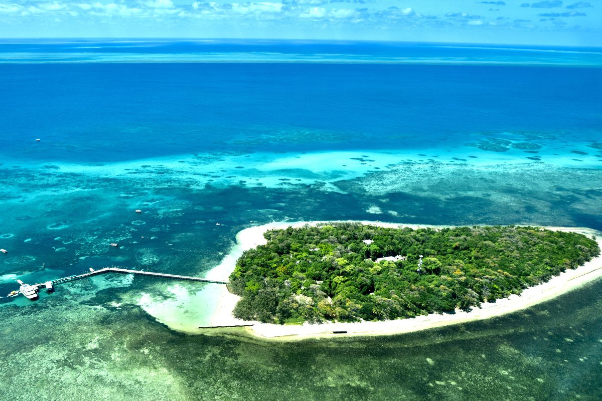 Ilustrasi Great Barrier Reef