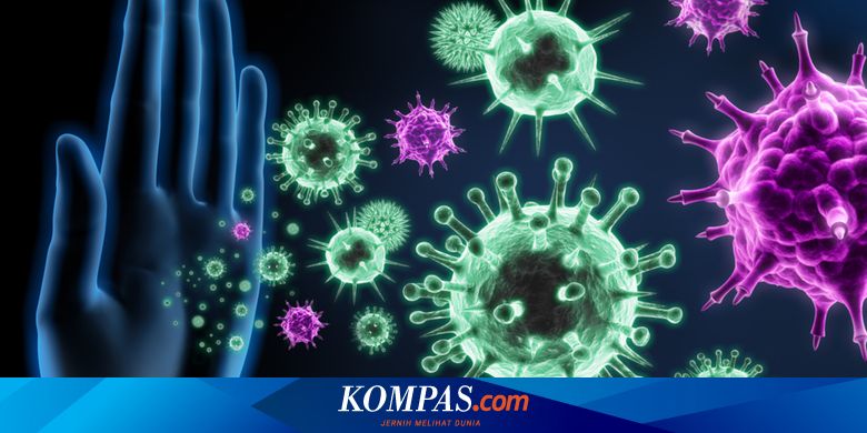 Berikut Cara Sistem Imun Tubuh Melawan Virus Corona Halaman All Kompas Com