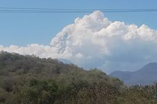 Gunung Lewotobi Laki-laki Terus Bergemuruh hingga Kamis Siang