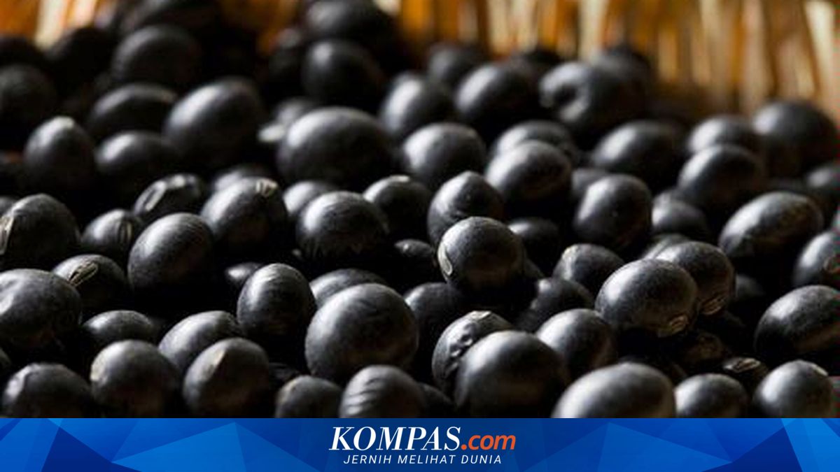 7 Makanan Hitam yang Menyehatkan