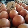 Harga Telur Ayam Masih Tinggi, Inflasi Desember 2022 Diperkirakan 0,44 Persen