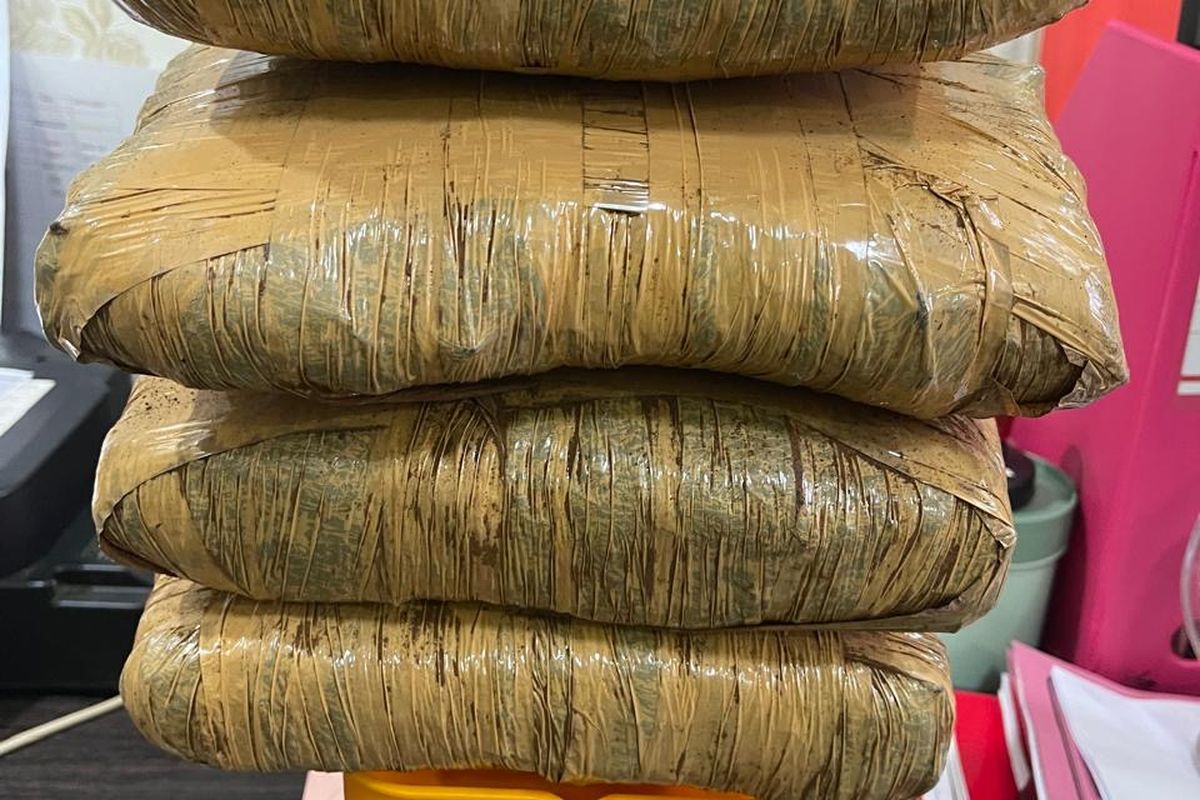 Pengemudi Ojol Ditangkap Saat Ambil Paket Ganja 5,25 Kg di Bawah Gerobak Mi Ayam