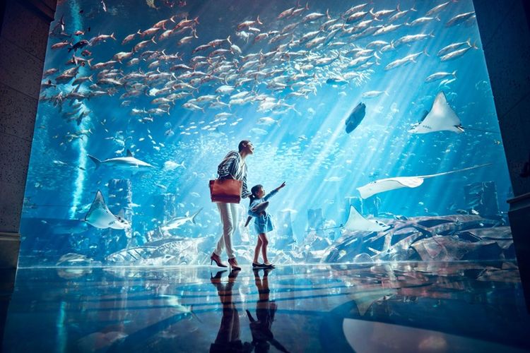 Dubai memiliki akomodasi lengkap dan infrastruktur modern. 