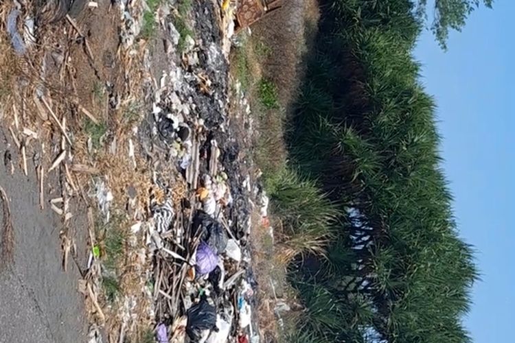 DLH Kulon Progo Sengaja Tak Angkut Sampah Ilegal di Pantai Trisik demi Efek Jera