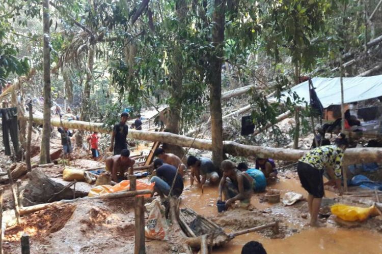 Aktifitas tambang emas ini merusak Kawasan Konservasi Taman Wisata Alam Mangolo, di Kota Kolaka, Sulawesi Tenggara.