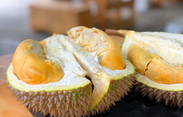 Ilustrasi durian. Durian adalah buah tinggi lemak dan gas yang sebaiknya dihindari penderita penyakit jantung.