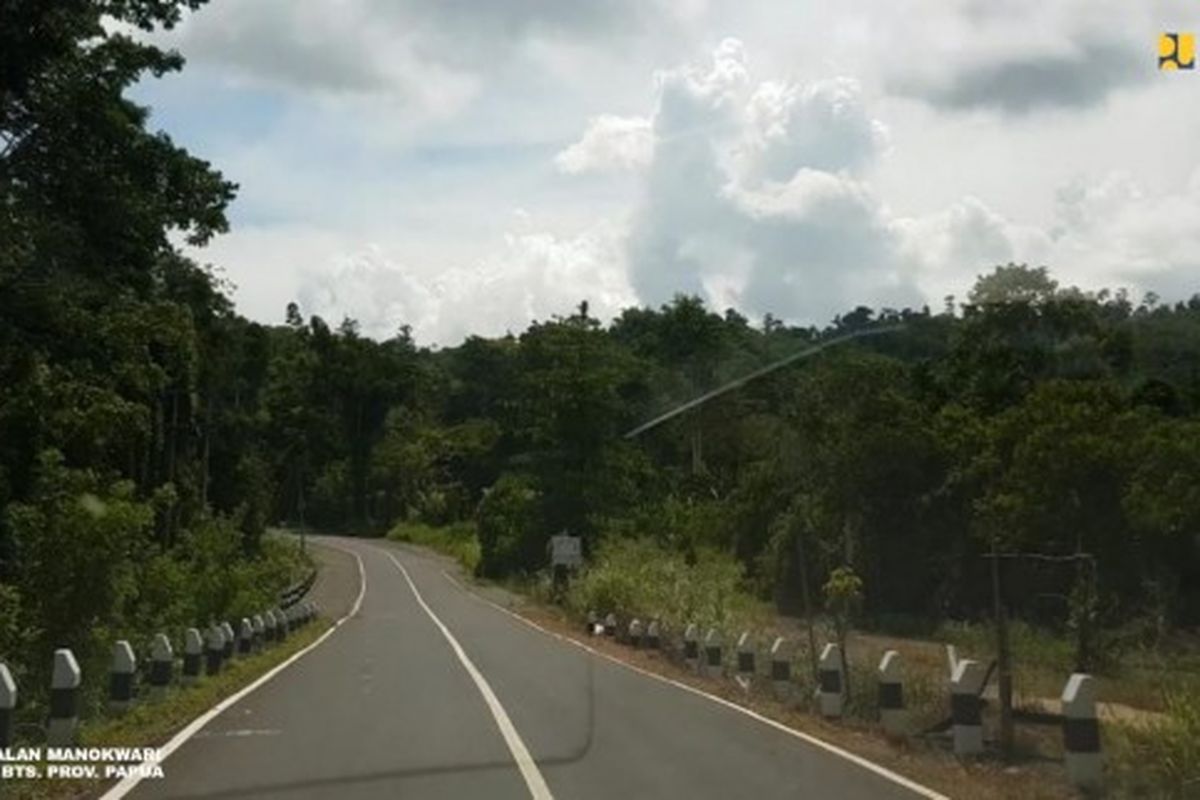 An image of Trans-Papua road. 