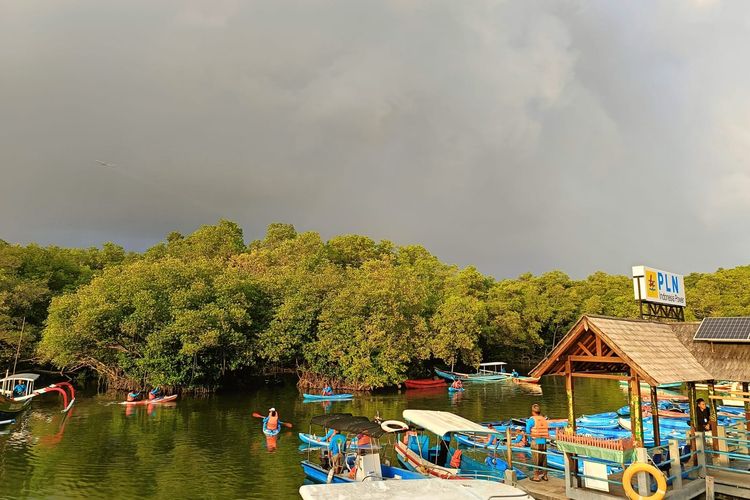 Tanam 15.000 Bibit Mangrove di Bali, PLN Indonesia Power: Keberhasilan Konservasi Bergantung Masyarakat
