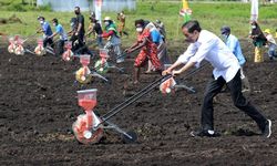 Jokowi Minta Mentan dan Gubernur Papua Barat Tingkatkan Kapasitas Produksi Pertanian