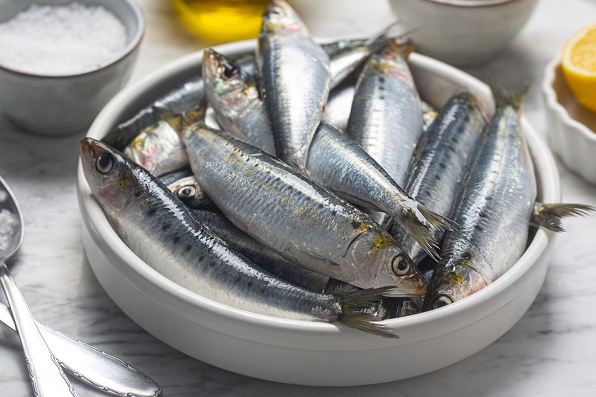 Ikan sarden, salah satu jenis ikan yang bisa memperpanjang umur.