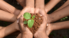 Green School di Kepulauan Seribu Bekali Siswa Literasi Lingkungan, Peduli Krisis Iklim