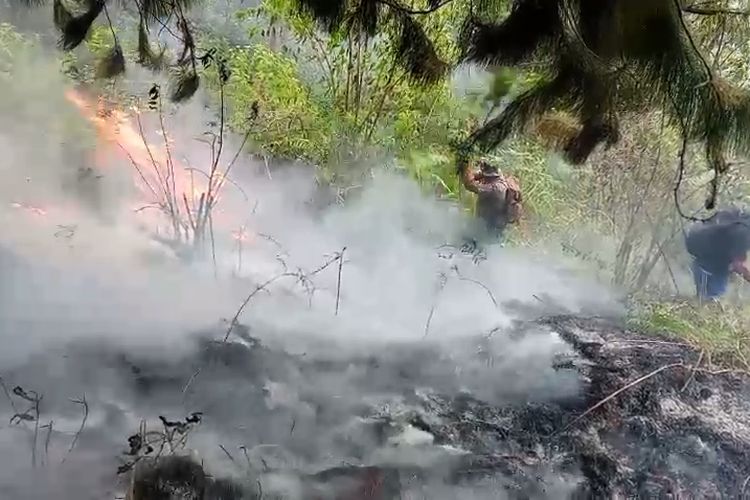 Warga Desa Jatiarjo, Kecamatan Prigen, Jawa Timur melakukan pemadaman api yang membakar dinlwreng gunung Arjuno Prigen Pasuruan, Selasa, (22/07/2025) 