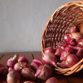 Ilustrasi bawang merah. 