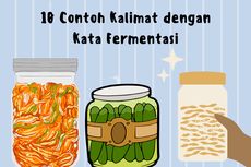 10 Contoh Kalimat dengan Kata Fermentasi