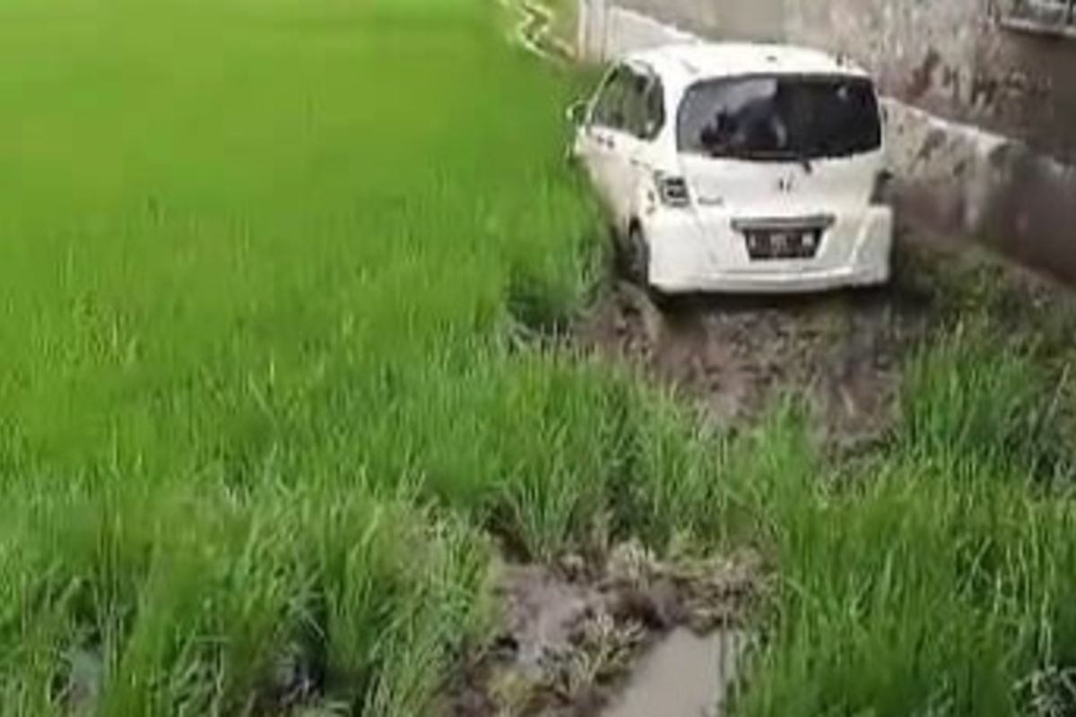 Mobil Milik PNS Terjun ke Sawah, Sopir Mengantuk