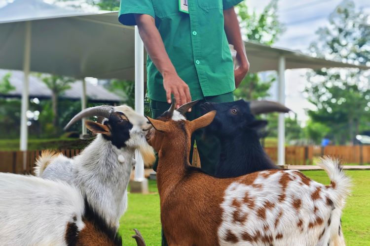 Aviary Park Indonesia, ekowisata dan kawasan pelestarian satwa baru buka di Tangerang Selatan, Senin (25/2/2025). 