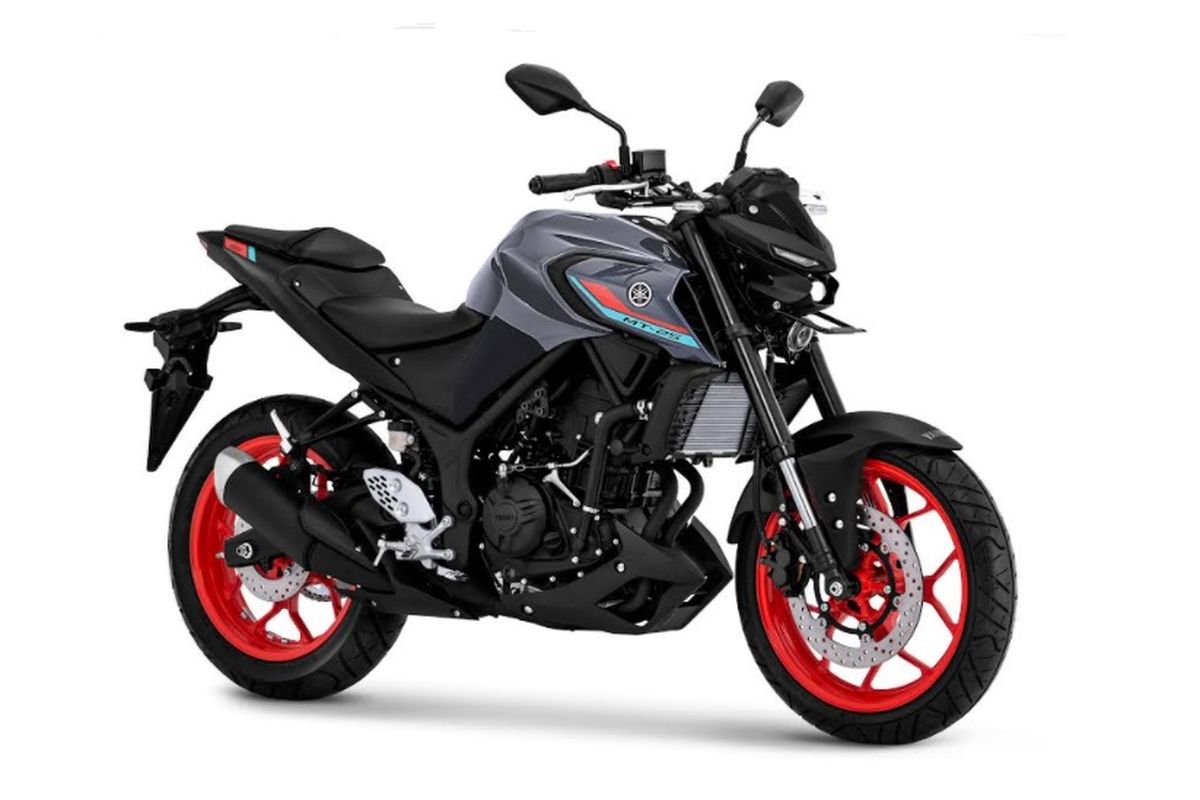 Yamaha MT25 2021