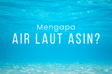 Mengapa Air Laut Terasa Asin?