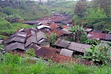 Cerita Peternak Sapi di Wanasuka Bandung, Mengenang Hari-hari Buruk Badai PMK
