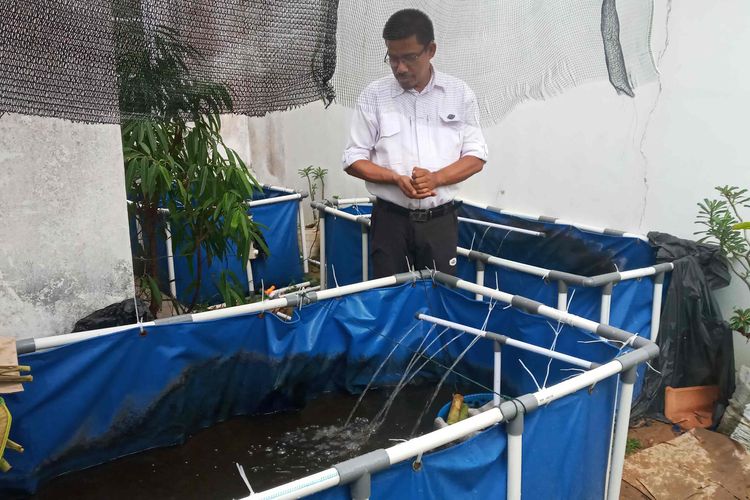 Kolam terpal untuk beternak lele di lahan belakang rumah yang sempit di Citraland, Pangkalpinang, Bangka Belitung, Sabtu (4/11/2023).