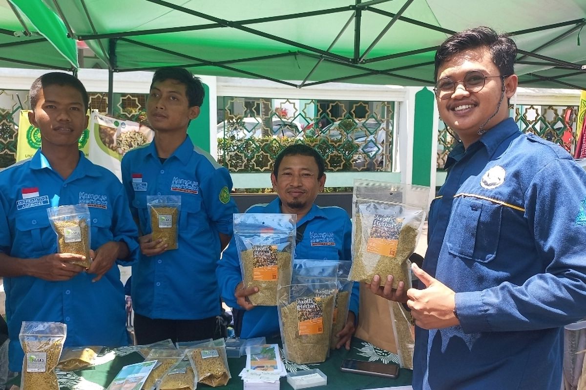 Sejumlah mahasiswa disabilitas di Universitas Muhammadiyah Purworejo (UMP) berhasil menciptakan pakan ternak untuk mencegah stunting pada hewan ternak. 